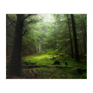 Sterious Forest Acrylic Print