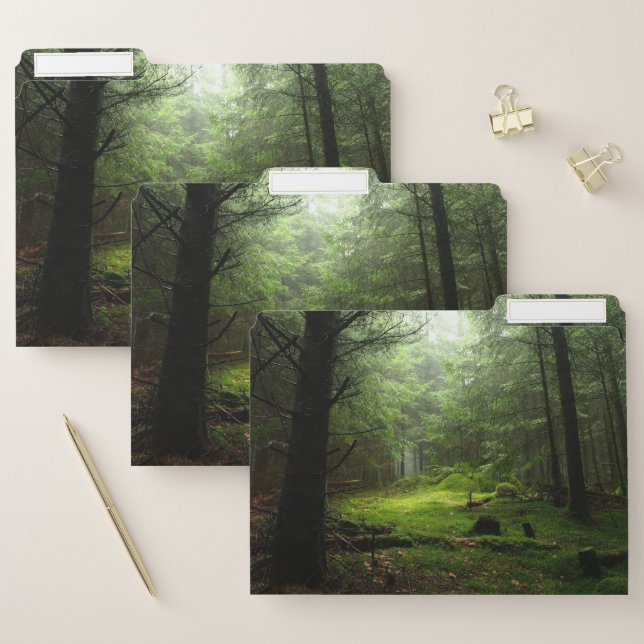 Sterious Forest File Folder (Set)
