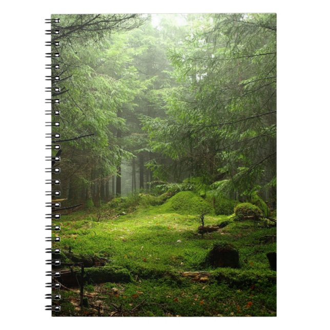 Sterious Forest Notebook (Front)