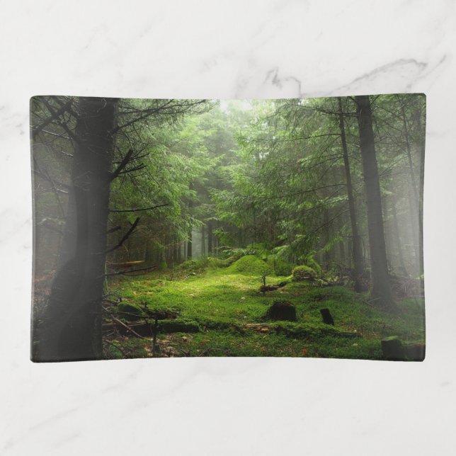 Sterious Forest Trinket Tray (Front)