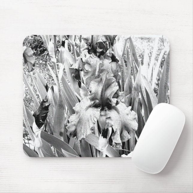 Sterling Irises.... Mouse Pad (With Mouse)
