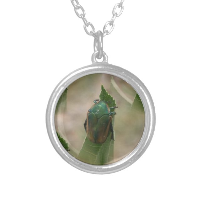 Sterling Silver Necklace (Front)