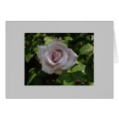 sterling silver rose (Front Horizontal)