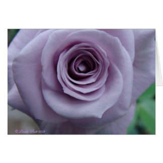 Sterling Silver Rose Card Design