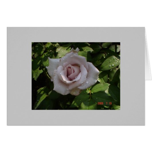 sterling silver rose cards (Front Horizontal)