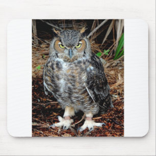 Stern Owl Mouse Pad