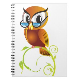 STERN OWL