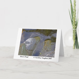 Steve&amp;apos;s pond moss, Steve's Pond       ... Card