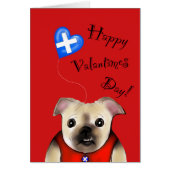 Steve valantimes cerd (Front)