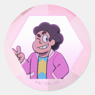 Steven Universe Pink Diamond Portrait Classic Round Sticker
