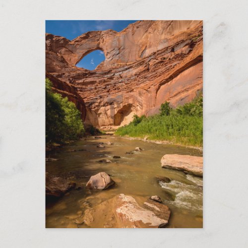 Stevens Arch _ Escalante River _ Utah Postcard