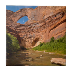 Stevens Arch - Escalante River - Utah Tile