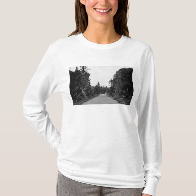 Stevenson Pass, WA View North Bank Highway T-Shirt (Front)