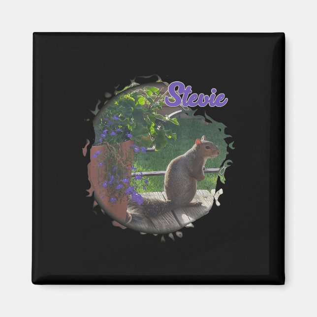 Stevie The Squirrel  Magnet (Front)