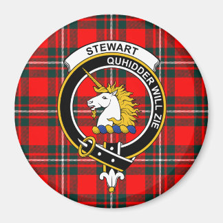 Stewart Clan Badge and Tartan Magnet