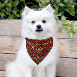 Stewart Clan Tartan Personalized Pet Bandana Collar