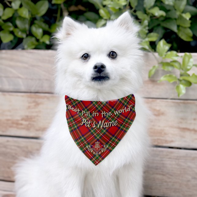 Stewart Clan Tartan Personalized Pet Bandana Collar (Dog)