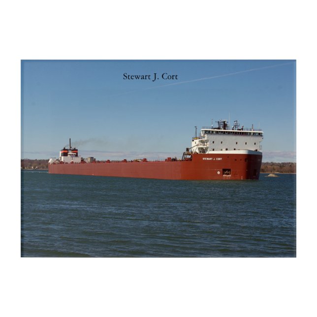 Stewart J. Cort acrylic wall art (Front)