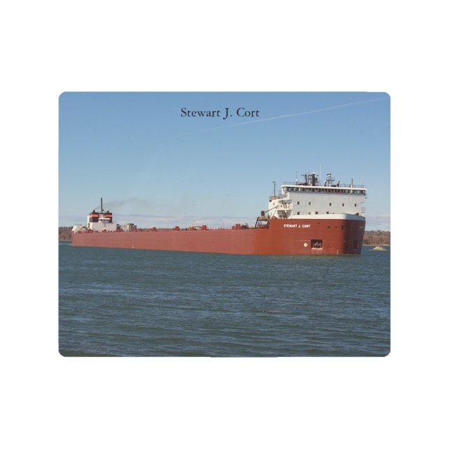 Stewart J. Cort metallic wall art (Front)