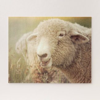 Stewie Jigsaw Puzzle