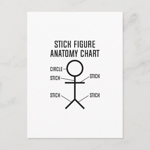 Stick Figure Anatomy Chart Postcard