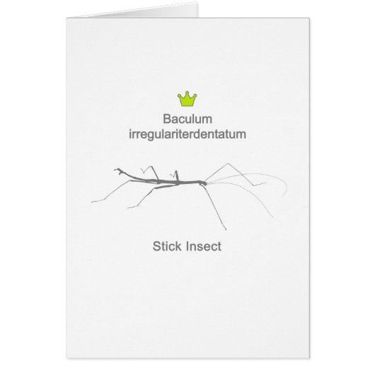 Stick Insect g5 Cards (Front)