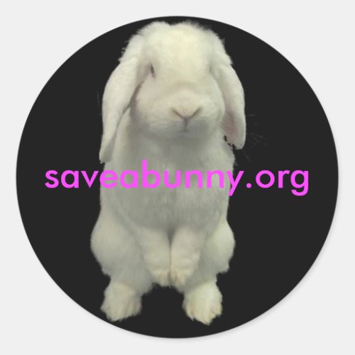Stick up For Bunnies Classic Round Sticker