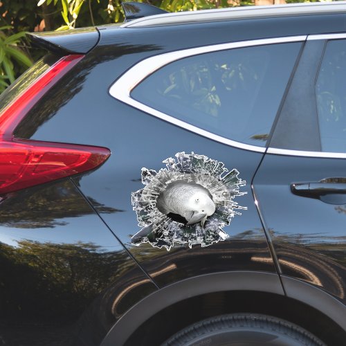 STICKER, african grey window sticker, car sticker