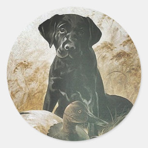 STICKER Black Lab labrador retriever decoy dog