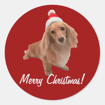 Sticker "dackel" Christmas by mein_irish_terrier at Zazzle