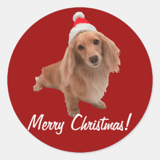 Sticker "Dackel" Christmas