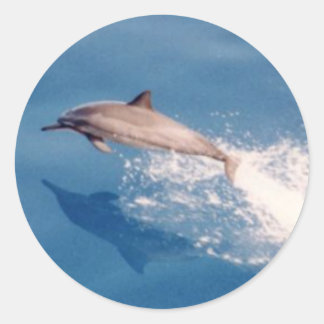 Sticker-Dolphin Jumping Classic Round Sticker