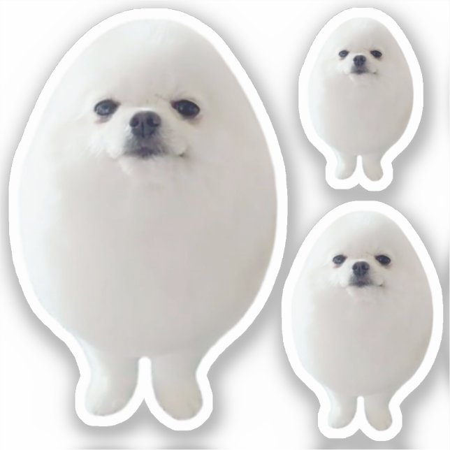 Sticker Egg Dog Meme (Front)