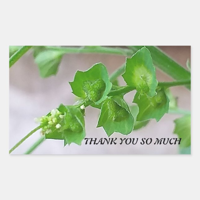 STICKER FOR THANKING (Front)