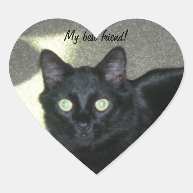 Sticker (hrt) - My best friend (Front)