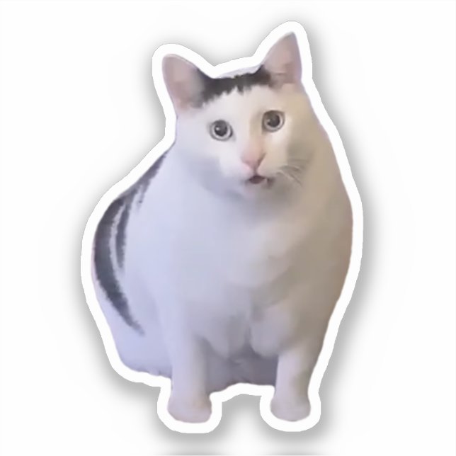 Sticker Huh Cat Meme (Front)