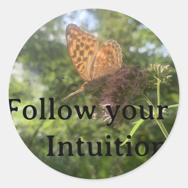Sticker Intuition (Front)