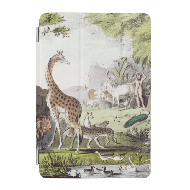 Sticker iPad Mini Cover (Front)