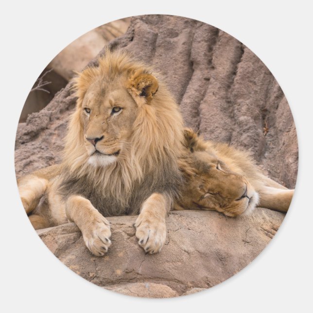 Sticker lion (Front)