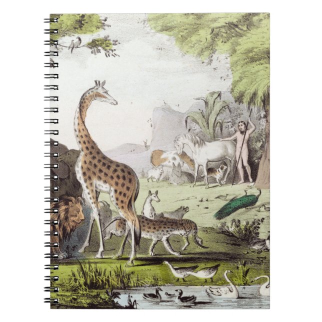 Sticker Notebook (Front)