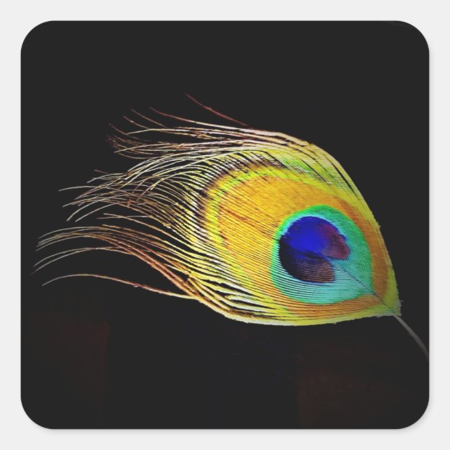 Sticker Peacock's Feather (Front)