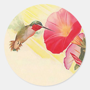 Sticker Ruby Throated Hummingbird @ Flowers Garden