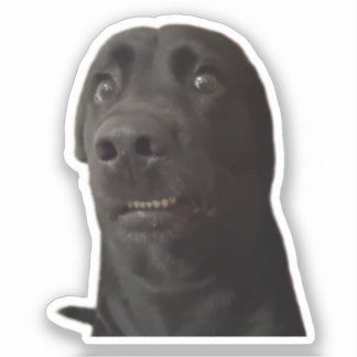 Sticker Scared Dog Meme
