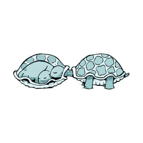 Sticker turtle