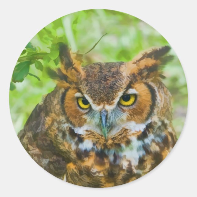 Sticker with Great Horned Owl (Front)