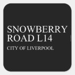 SNOWBERRY ROaD  Stickers