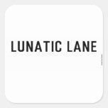 Lunatic Lane   Stickers