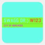 swagg dr:)  Stickers