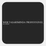 WEB TASARIMINDA PROFESYONEL  Stickers