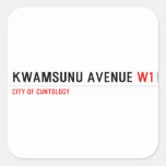 KwaMsunu Avenue  Stickers